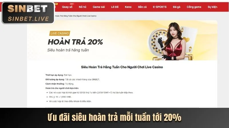 Hướng dẫn tải ứng dụng MM Live